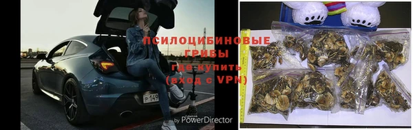 эйфоретик Нея