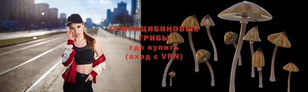 соль курить ск Алексеевка