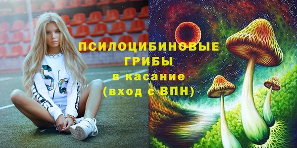 соль курить ск Алексеевка